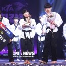 미르메라 이미지