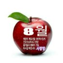 8월인사말이미지모음 이미지