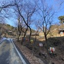 법흥2리 | 장호원으로 떠나는 문화재 답사 여행 (어석리 &amp; 선읍리 석불입상, 설성산성, 신흥사)