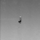 프롬유 (from.U) 이미지