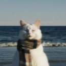 장미찻집 | 대구 중구ㅣ12월 월간 다회 🍵 겨울과 어울리는 차 및 다식 _ 찻집‘티미드’에서