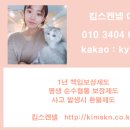 셀커시 이미지