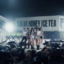 슈가몬스터