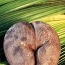 북단양리조트L민박 | 여행 어디까지 가봤니? 인도양의 숨은 보석, Seychelles로 떠나기