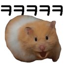 개가사는그집 이미지