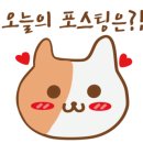 나비드라