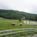 대인목장 이미지