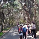 주영어린이집 이미지