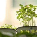성내로 6길 이미지