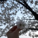우리나현유치원 네이버블로그