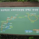 자연그리 이미지