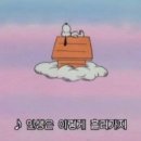 시오꾸꾸