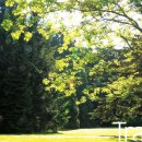 나무그늘파크(park) 이미지