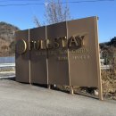 휴 스테이 | 강원도 홍천 애견동반 숙소 “스테이펫” 스테이휴 내돈내산 후기