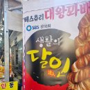 진안 동촌리 맛집 식어도 맛있는 마이산 페스츄리 대왕꽈배기 마이산상회