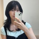 엘바이엘 헤어