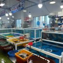 중도매인6호 이미지