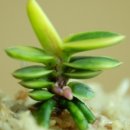 두엽농장 이미지