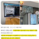 24시루시드동물메디컬센터 | 휘경동 동물병원 암 진료, 루시드에서 믿음을 찾으세요