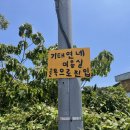 기태연네미용실