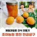 세정농원 | 초아농원 영천 만금살구 제철과일로 아이들 간식 만들었어요
