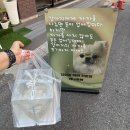 🐾 인천 강아지 수제간식 전문점 개나줘봐 :: 강아지 케이크 내돈내산 주문 후기 🐶🎂