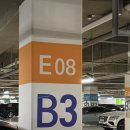 가락횟집 | 영재수산 ｜가락시장 대방어 횟집 맛집 솔직후기