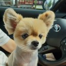 양평 휴 캠핑 워크샵 이미지