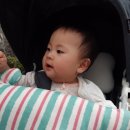 판암양지근린공원 이미지