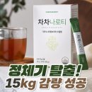 차차나로티 내돈내산 후기 및 효과 총정리