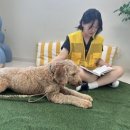미래펫동물병원 이미지