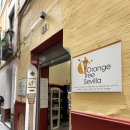 C&Tree | 쇼핑리스트] ORANGE TREE SEVILLA │ 오렌지 관련 기념품이 가득했던 쇼핑 후기 (세비야기념품, 스페인...