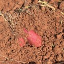 해찬농장 이미지