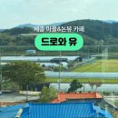 드로와유 이미지