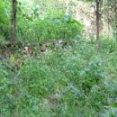 잠원동053 이미지