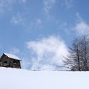 춘삼월목장 이미지