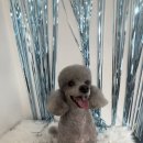 그루밍솔루션 구로점 이미지