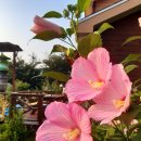 팝페라스파펜션 이미지