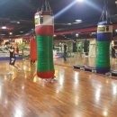 국제복싱클럽 이미지