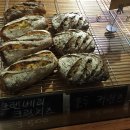 폭스브롯 이미지