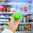 다송2호 이미지