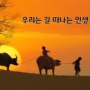 나그네 - 영덕군 덕곡길 111 | 나그네