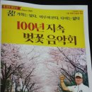 GA코리아 창업 50주년 기념 100년 지속 벚꽃 음악회-＜1＞/이근설(연세MBA저널 편집장) 이미지