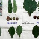 산업훈련원