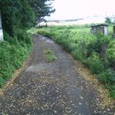 시흥-정왕-시흥-017 이미지