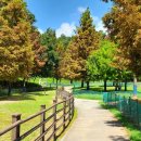 아름드리 목장 이미지