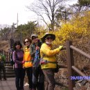 달맞이근린공원 이미지