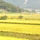 청통중학교 이미지