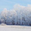 희망로46번길 이미지