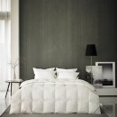 신세계기획 이미지